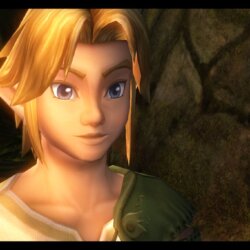 The Legend of Zelda: Twilight Princess - Hero of Time Edition